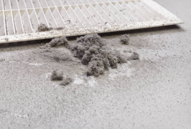 Best Air Duct Cleaning Near Me  in Trail Creek, IN