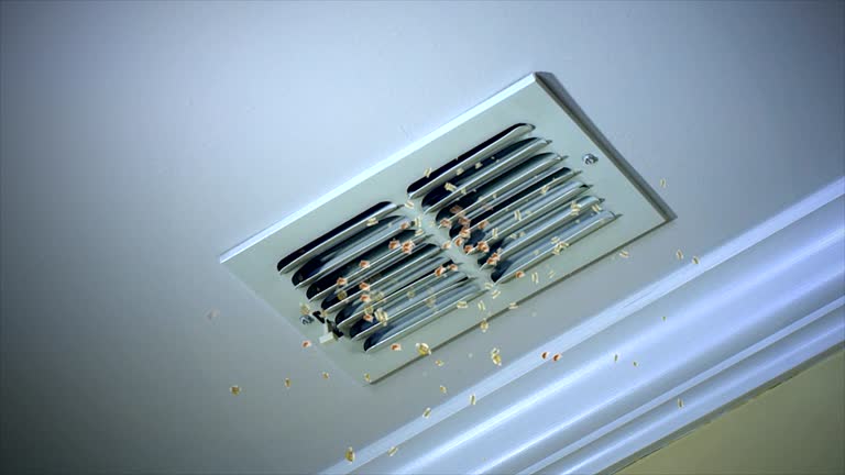 Best Home Air Vent Cleaning  in Trail Creek, IN