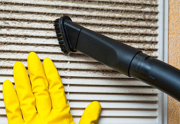 Best Residential Air Duct Cleaning  in Trail Creek, IN