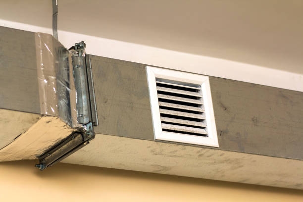 Best Air Vent Cleaning Services  in Trail Creek, IN